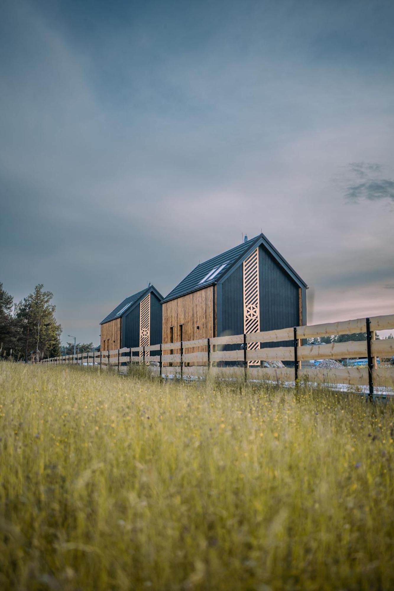 Svoyska Osada Holiday home *