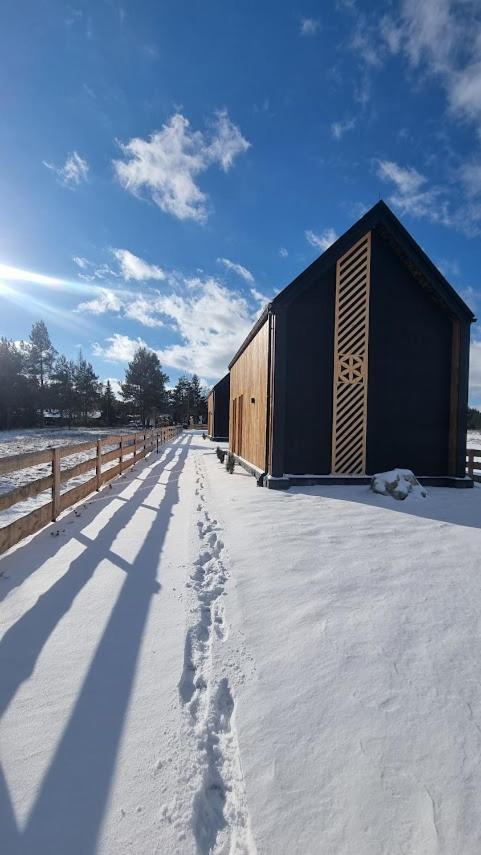 Svoyska Osada Holiday home *